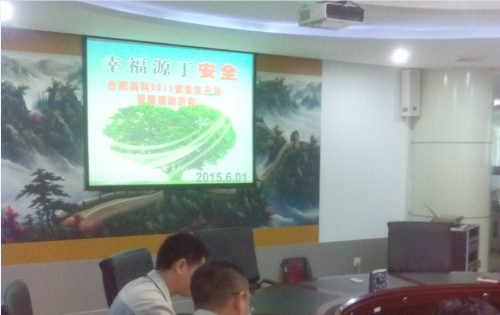 合肥金年會體育官方網(wǎng)站公司召開2015年安全生產(chǎn)月活動動員會