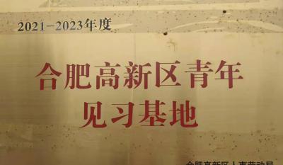 合肥金年會體育官方網(wǎng)站獲批建立合肥高新區(qū)青年見習(xí)基地
